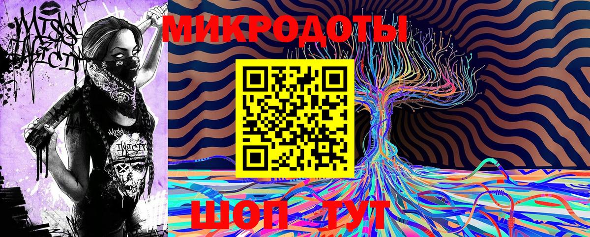 Галлюциногенные грибы Cubensis Камень-на-Оби